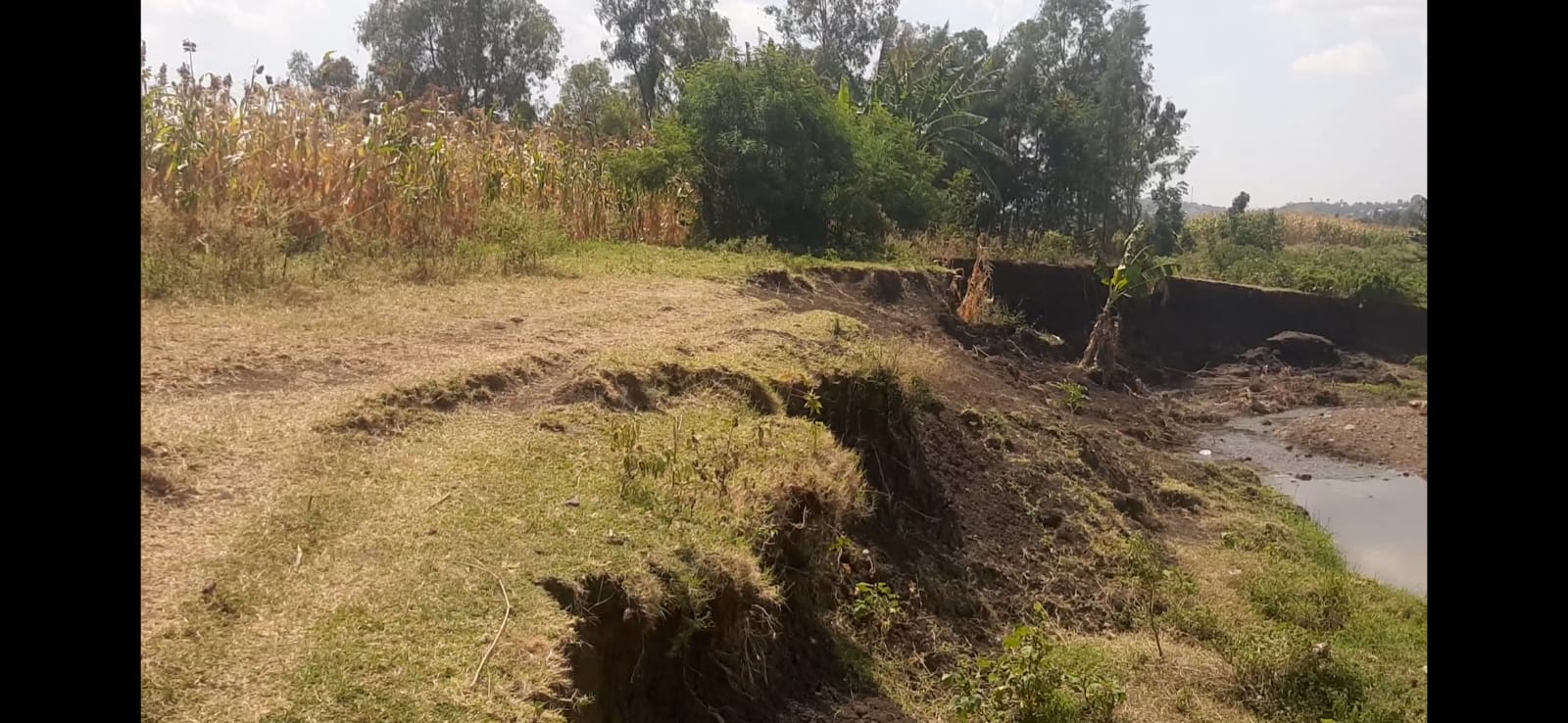 Restored riverbank land